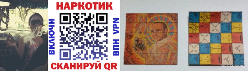 Где найти наркотики Элиста ГАШ  А ПВП  Меф  АМФ  КОКАИН  МАРИХУАНА 