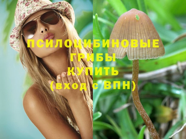 меф Алзамай